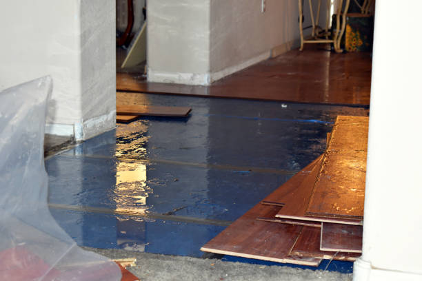 Professional Basement Flood Cleanup technician working in Foxworth, MS
